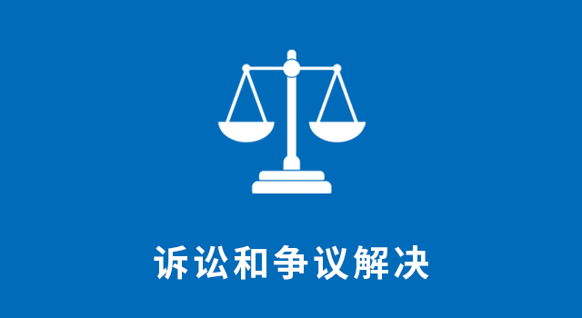 诉讼和争议解决